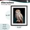 Stupell Industries Snowy Owl King Framed Print Under Glass, design by Lucia Heffernan